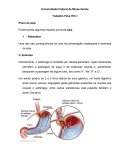 Evidenciando Algumas Reações Químicas: Azia