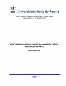 RELATÓRIO DO ESTÁGIO CURRICULAR OBRIGATÓRIO I