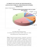 GUARDIÃO LIFE: SISTEMA DE MONITORAMENTO, ATENUAÇÃO E COMBATE A PRINCÍPIOS DE INCÊNDIOS DOMÉSTICOS