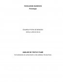 ANÁLISE: Os fundamentos do conhecimento da vida cotidiana - Ilha das flores