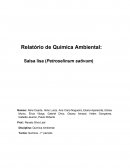Relatório de Química Ambiental: Salsa lisa (Petroselinum sativum)