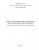 Ambiente Contextual, Estratégia e Estágio de Desenvolvimento da Empresa como Determinantes da Estrutura Organizacional