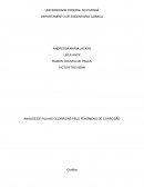 ANÁLISE DE FALHAS OCORRIDAS PELO FENÔMENO DE CORROSÃO
