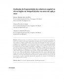 Avaliação da fragmentação da cobertura vegetal na microrregião de Anápolis/Goiás nos anos de 1985 a 2010