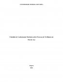 Trabalho de Conformação Mecânica sobre Processo de Trefilação em Fios de Aço