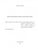 Relatório de Estágio Pedagógico de Química na Escola Secundária de Nampula