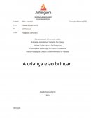 O brincar para a criança