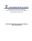 PROBLEMAS AMBIENTAIS NA SOCIEDADE HUMANA E SUAS CONSEQUÊNCIAS