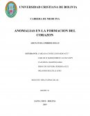 A ASIGNATURA: EMBRIOLOGIA II