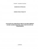 AVALIAÇÃO DAS CONDIÇÕES DE IMPACTO NO MEIO AMBIENTE DE UMA CALDEIRA INDUSTRIAL SOB O PONTO DE VISTA DA TERMODINÂMICA
