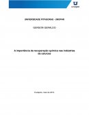 A importância da recuperação química nas indústrias de celulose