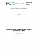 ESTÁGIO CURRICULAR OBRIGATÓRIO I –ENSINO FUNDAMENTAL II100H RELATÓRIO FINAL