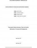 Treinamento Desenvolvimento, Plano de Carreira, Motivações e Processos de Desligamento