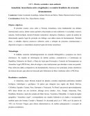 Amazônia: Incoerência entre a legislação e o cenário brasileiro de crescente desmatamento