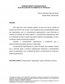 Comportamento Organizacional e suas Influencias no Ambiente de Trabalho