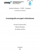 Licenciatura em Química Cromatografia em Papel e Eletroforese