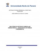 RELATÓRIO DO ESTÁGIO CURRICULAR OBRIGATÓRIO II – ANOS INICIAIS DO ENSINO FUNDAMENTAL