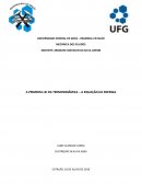 A PRIMEIRA LEI DA TERMODINÂMICA – A EQUAÇÃO DA ENERGIA