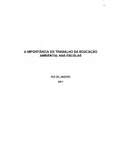 A IMPORTÂNCIA DO TRABALHO DA EDUCAÇÃO AMBIENTAL NAS ESCOLAS