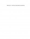 PRÁTICA N° 4: TESTE DE QUALIDADE DA GASOLINA