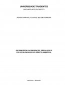 OS PRINCÍPIOS DA PREVENÇÃO, PRECAUÇÃO E POLUIDOR-PAGADOR NO DIREITO AMBIENTAL