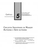 Descrição dos tipos de circuitos de moinhos