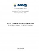 ANÁLISE COMPARATIVA ENTRE O LUCRO REAL E O LUCRO PRESUMIDO DE UM PRODUTOR RURAL