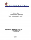 RELATÓRIO AULA PRÁTICA 2: DISCIPLINA: JOGOS, BRINQUEDOS E BRINCADEIRAS