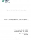 Geração de Energia Elétrica Sustentável Através de Lixo Orgânico