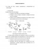 Resumo sistemático fono