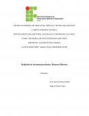 Relatório de Eletrotécnica Básica: Motores Elétricos