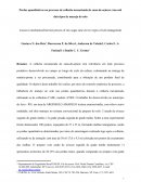 PERDAS QUANTITATIVAS NO PROCESSO DE COLHEITA MECANIZADA DE CANA_MANEJO DO SOLO_CIÊNCIA AGRONÔMICA