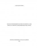 EFEITOS DO ENCARCERAMENTO NA FAMÍLIA DOS PRESOS E O (DES) RESPEITO AO PRINCÍPIO DA RESPONSABILIDADE PENAL PESSOAL