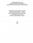 PROJETO INTEGRADO MULTIDISCIPLINAR VI CURSO SUPERIOR DE TECNOLOGIA DE RECURSOS HUMANOS