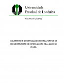 ISOLAMENTO E IDENTIFICAÇÃO DE DERMATÓFITOS DE CÃES DO MUTIRÃO DE ESTERILIZAÇÃO 