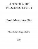 Apostila Processo Civil