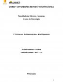 Faculdade de Ciências Humanas Curso de Psicologia Behaviorismo