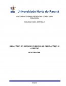 RELATÓRIO DO ESTÁGIO CURRICULAR OBRIGATÓRIO III – GESTÃO RELATÓRIO FINAL