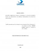 QUESTÕES AMBIENTAIS, SOCIAIS E ECONOMICAS E ATUAÇÃO DO DIREITO DIANTE DA PERMANENCIA DE EMPRESAS MINERADORAS NO ESTADO DE MINAS GERAIS