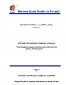 Organização do Espaço Educativo Nos Anos Iniciais do Ensino Fundamental