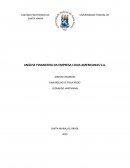 ANÁLISE FINANCEIRA DA EMPRESA LOJAS AMERICANAS S.A.