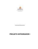 O PROJETO INTEGRADOR I