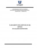 PLANEJAMENTO PARA ABERTURA DE UMA EMPRESA DE CALÇADOS SUSTENTÁVEIS