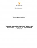 RELATÓRIO DO ESTÁGIO CURRICULAR OBRIGATÓRIO MARCELO AUGUSTO MORAES CREA-MG 228060/LP
