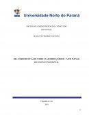 RELATÓRIO DO ESTÁGIO CURRICULAR OBRIGATÓRIO II – ANOS INICIAIS DO ENSINO FUNDAMENTAL