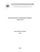 Resíduos industriais e contaminação ao meio ambiente