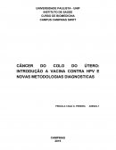 O CÂNCER DO COLO DO ÚTERO