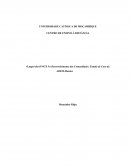 O Papel das ONGʼS No Desenvolvimento das Comunidades: Estudo de Caso da ADEM-Manica