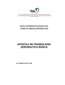 Manual de Freaseologia Aeronautica