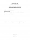 Ideologias e ciência social: elemento para uma análise Marxista – Michael Lowy